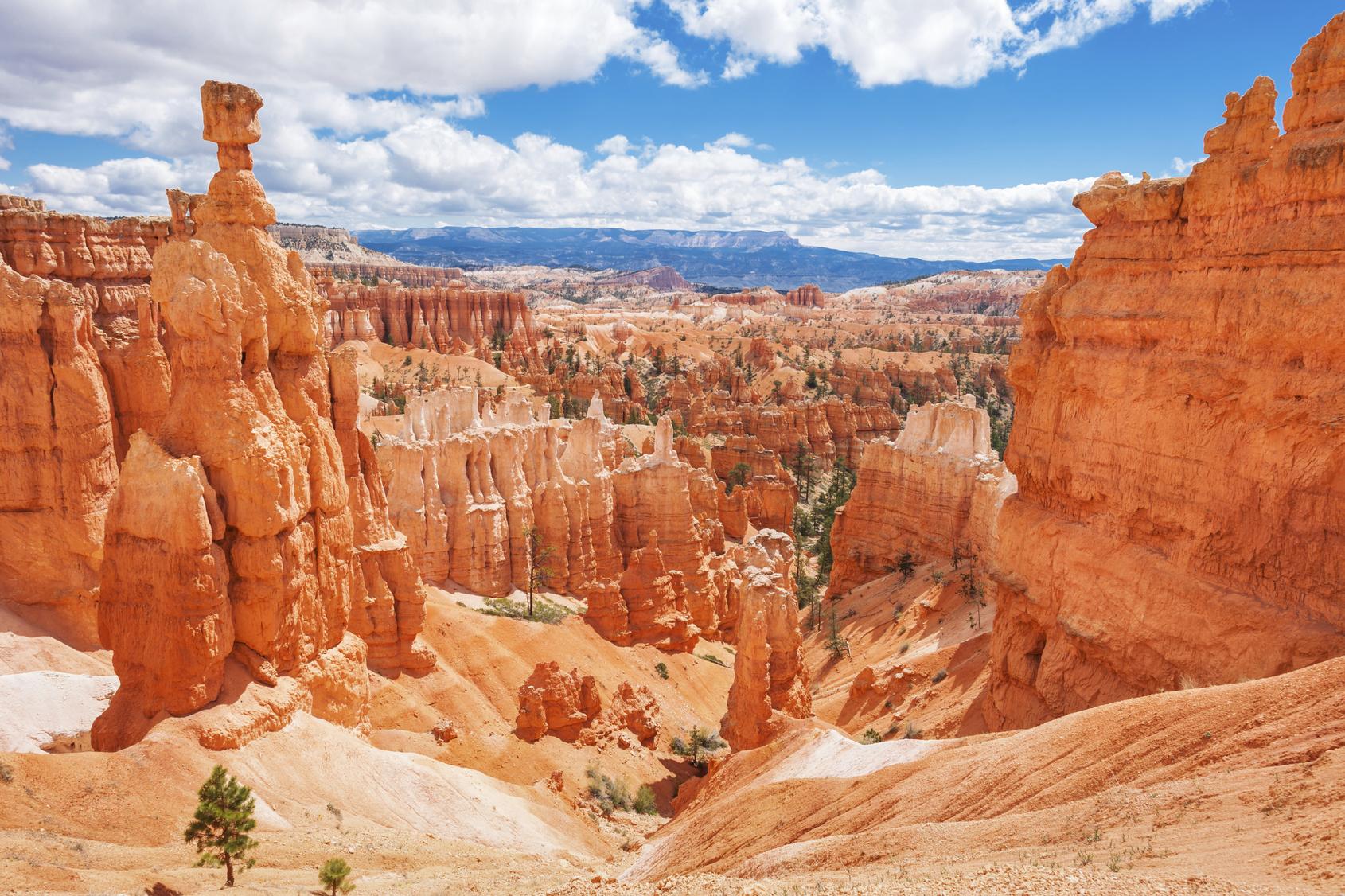 Utah's National Parks Road Trip