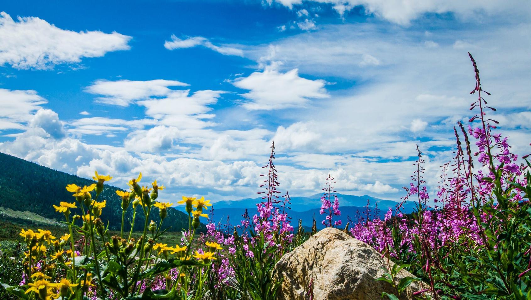 Denver to Boulder Road Trip