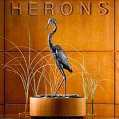 Herons