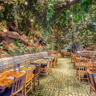 Rainforest Cafe - Chicago Gurnee