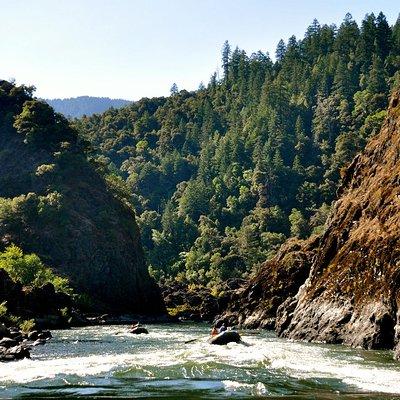 Rogue River Multi-Day Rafting Trip