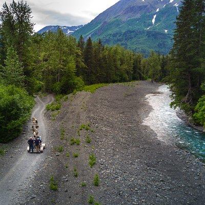 Seward and Kenai Fjords National Park Guided Tour with Lunch