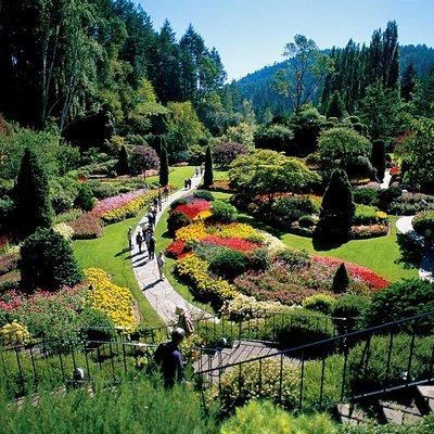 Victoria and Butchart Gardens Tour from Vancouver