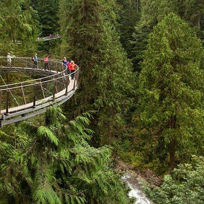 Grouse Mountain & Capilano Suspension Bridge Park