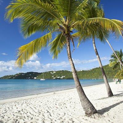 St Thomas Shore Excursion: Shopping, Sightseeing and Beach Tour