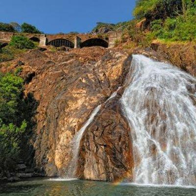 Day Trip to Mollem National Park Including Dudhsagar Falls and Jeep Safari from Goa