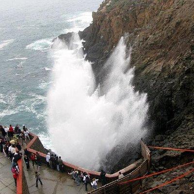 Ensenada Shore Excursion: Blowhole and La Bufadora Tour with Horseback Riding