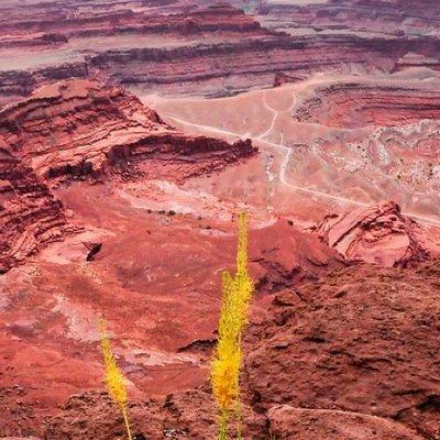 Canyonlands National Park Backcountry 4x4 Adventure from Moab