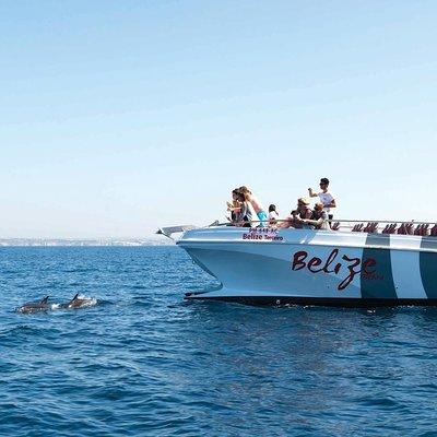 Dolphin Watching and Cave Boat Cruise from Albufeira