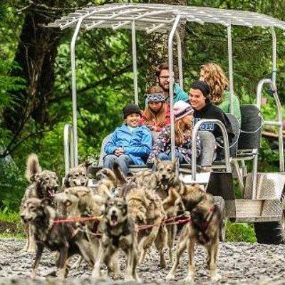 Kennel Tour and Dog Sled Ride