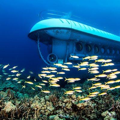 Atlantis Submarine from Kona Beach