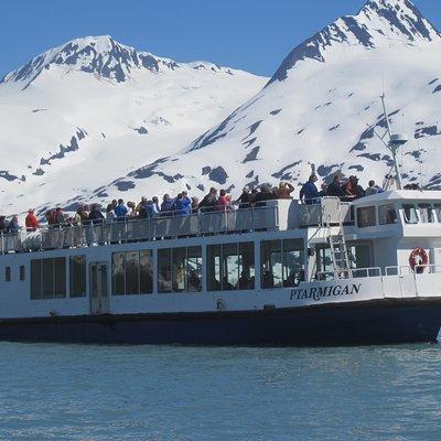 Portage Glacier Cruise and Wildlife Explorer Tour