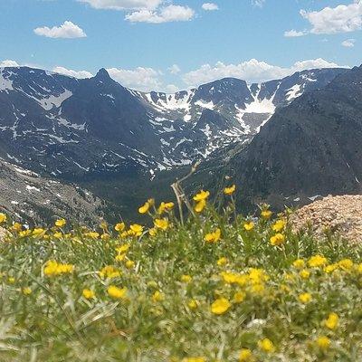 Rocky Mountain National Park in Summer Tour from Denver