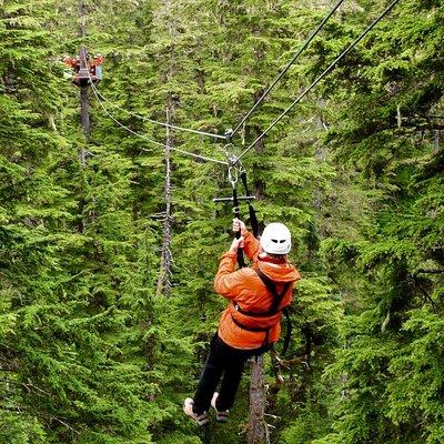 Alpine Zipline Adventure in Juneau, AK