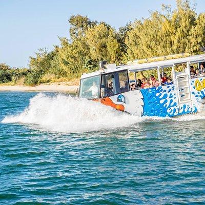 Gold Coast Quack'rDuck Amphibious Tour from Surfers Paradise