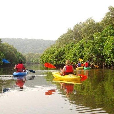 Goa Kayaking in Spike's River