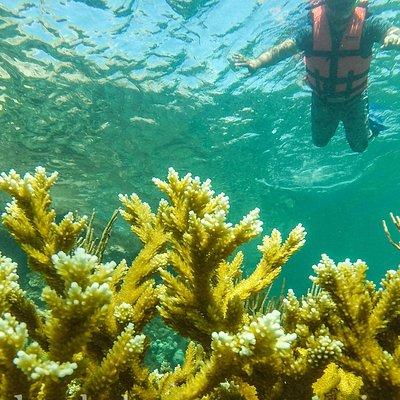 Local Fishing Plus Snorkeling Tour in Isla Mujeres