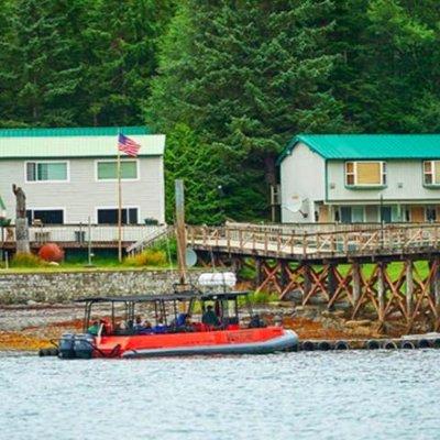 Ketchikan Shore Excursion: Silverking Lodge Adventure & Seafeast