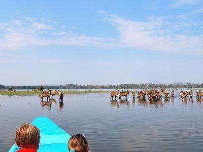 1 Day trip to Hells Gate and Lake Naivasha From Nairobi