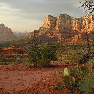 Small Group or Private Sedona and Native American Ruins Day Tour