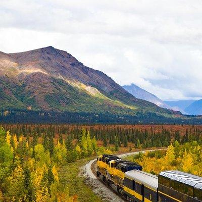 Alaska Railroad Denali to Anchorage One Way