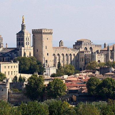 Full private day Avignon Chateuneuf du pape wine tasting