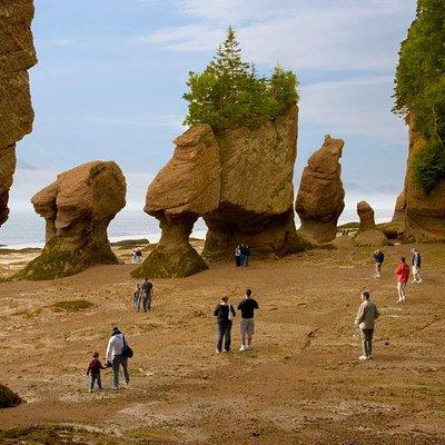 Hopewell Rocks Admission