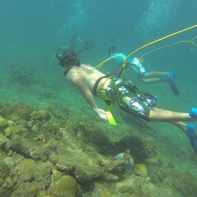 OCTOPUS DIVING (hookah diving) NO Experience Needed