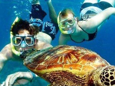 Guided Coral Reef Snorkeling Tour