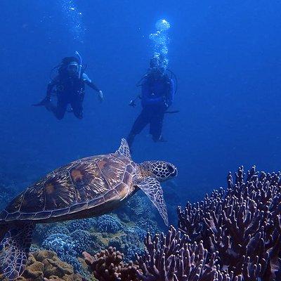 Guam's Best Beach Diving! - Beginner and Advanced Dives