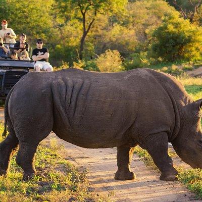 5 day-Kruger National Park Safari from Kruger Int. Airport (KMI), Panorama Route