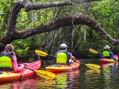 Amelia Island Guided Kayak Tour of Lofton Creek 