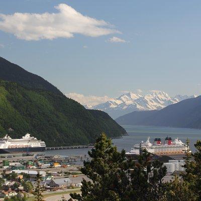 City and Mountain Summit Shore Excursion in Skagway