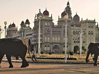 The Best of Mysore/Mysuru, Somnathpur & Srirangapatna in a Day