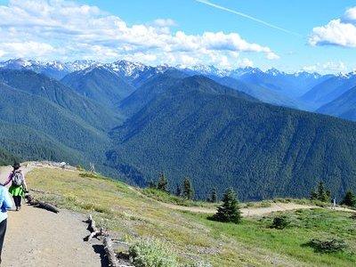 Sol Duc, Lake Crescent, and Hurricane Ridge Guided Tour in Olympic National Park