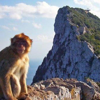 Historic Gibraltar Rock and St Michael's Cave Tour from Seville