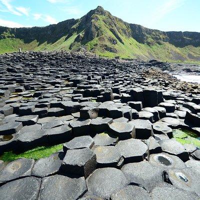 Guided Day Tour: Giant's Causeway from Belfast