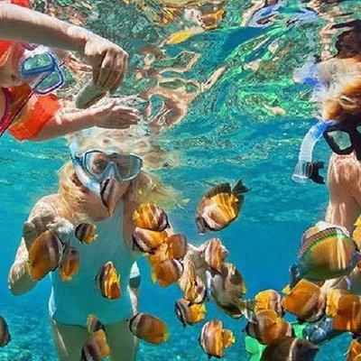 Bali Snorkeling at Blue Lagoon with Transport and Lunch