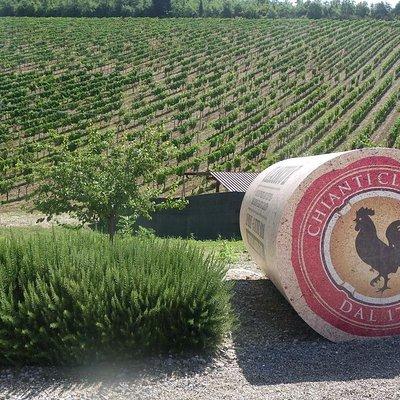 Essence of Chianti Small Group Tour with Lunch and Tastings from Florence