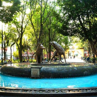 Private City Tour in Frida Kahlo, Coyoacan, and Xochimilco 