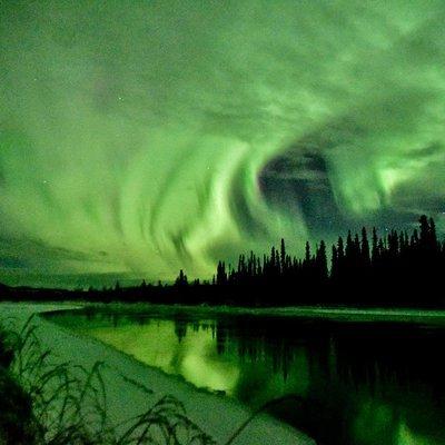 Northern Lights and Huskies