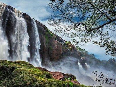 Athirappilly & Vazhachal Waterfalls Private Day Tour from Kochi