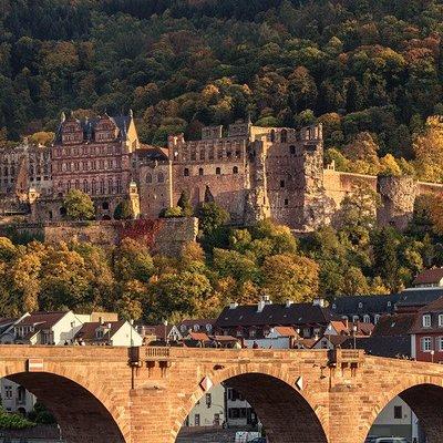 Heidelberg Castle and Old Town Tour from Frankfurt