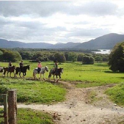 Killarney National Park Horseback Ride. Co Kerry. Guided. 1 hour.