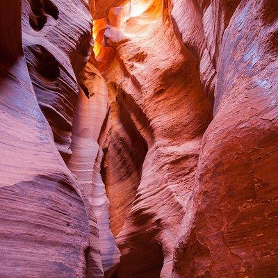 Antelope Canyon X Ticket with Upgrade Option to Photo Tour