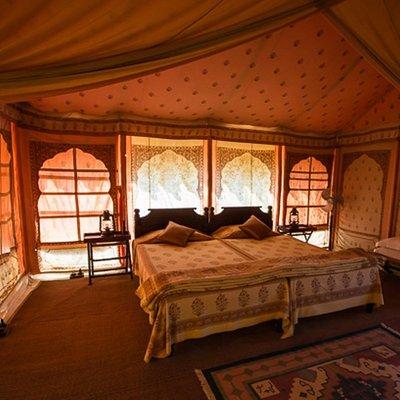 Overnight Camping With Camel Safari In Jodhpur