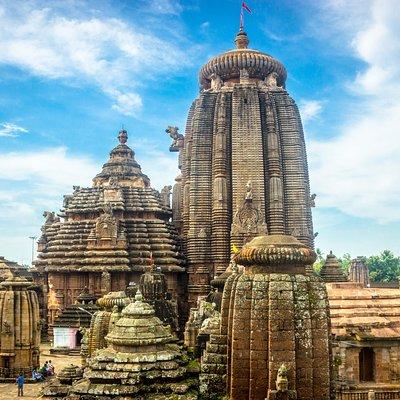 Odisha Temple & Mangrove Forest