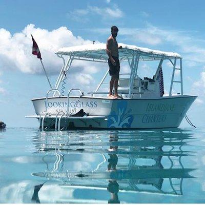 Snorkel, Sandbar & Dolphin Excursion