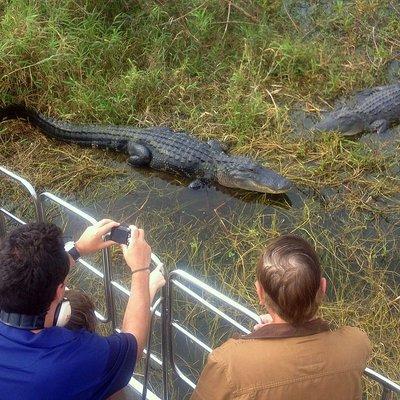 Florida Everglades Airboat Tour and Wild Florida Admission with Optional Lunch