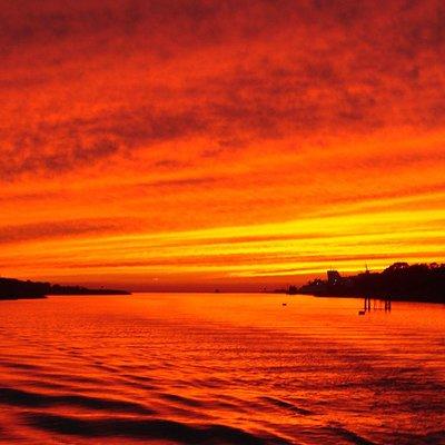 Dinner Cruise with Dolphin Watching from Cape May